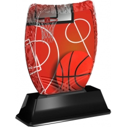 Trofej / plaketa ACE2018M7 basketbal