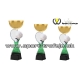 Trofej  ACUPCGMINIM21 badminton