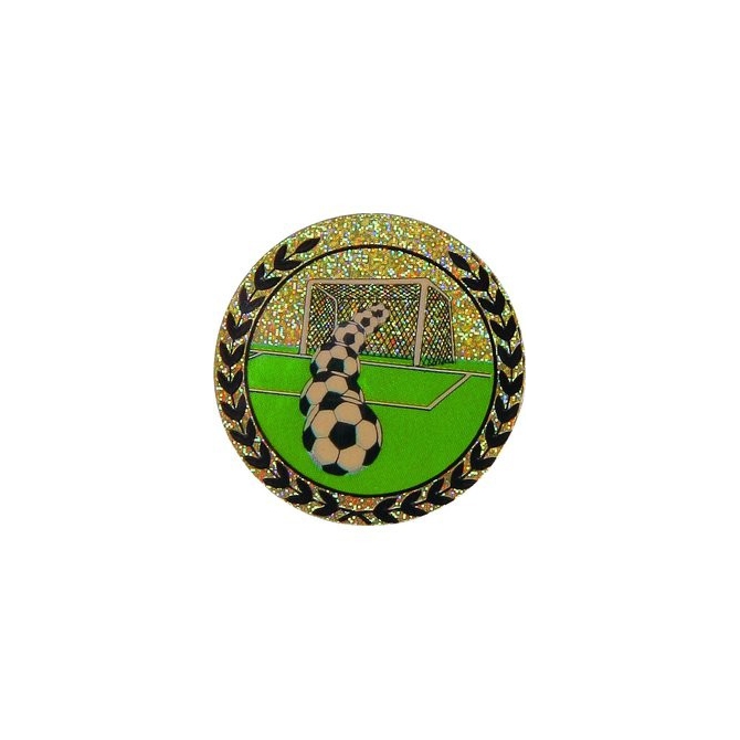 emblém AGM113 Futbal holografický